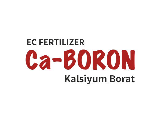 ca-boron