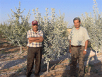 Yıldızbaşlar Karaman