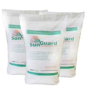 SUNGUARD
