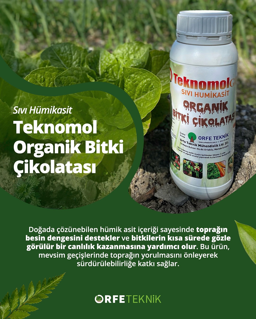 OrfeTeknik Teknomol Organik Bitki Çikolatası, tamamen organik bitki özleri ve leonarditten doğal yöntemlerle üretilmiştir. Kimyasal maddeler ve solvent içermeyen tek bitki besinidir.